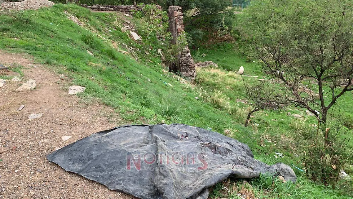 WhatsApp Image 2019-06-25 at 9.21.29 AM