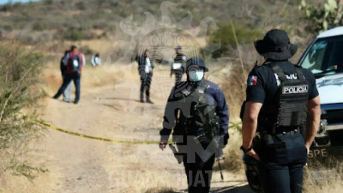 WhatsApp Image 2020-11-24 at 9.09.27 AM