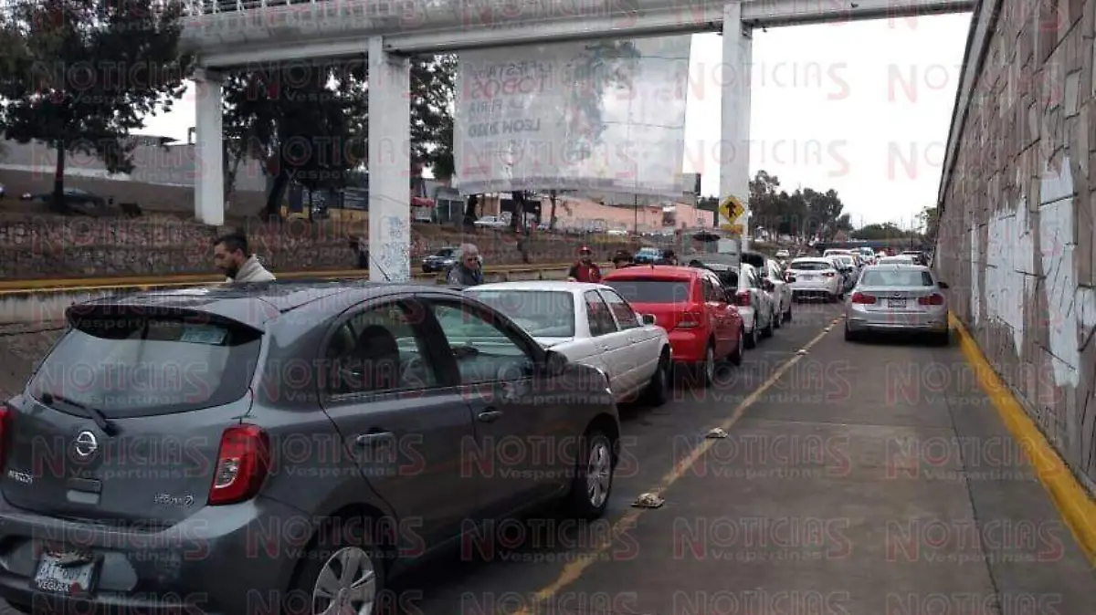 CARAMBOLA MALECÓN (2)