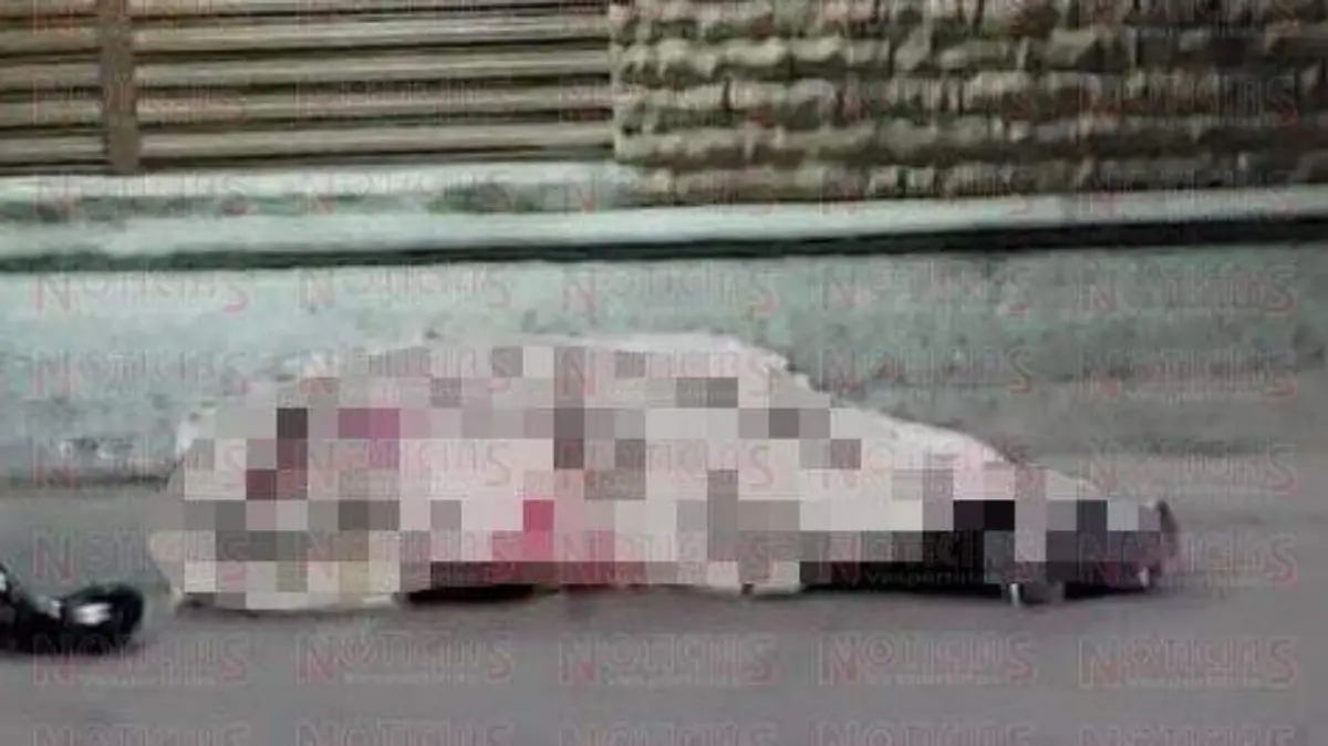 WhatsApp Image 2019-12-04 at 9.31.17 PM