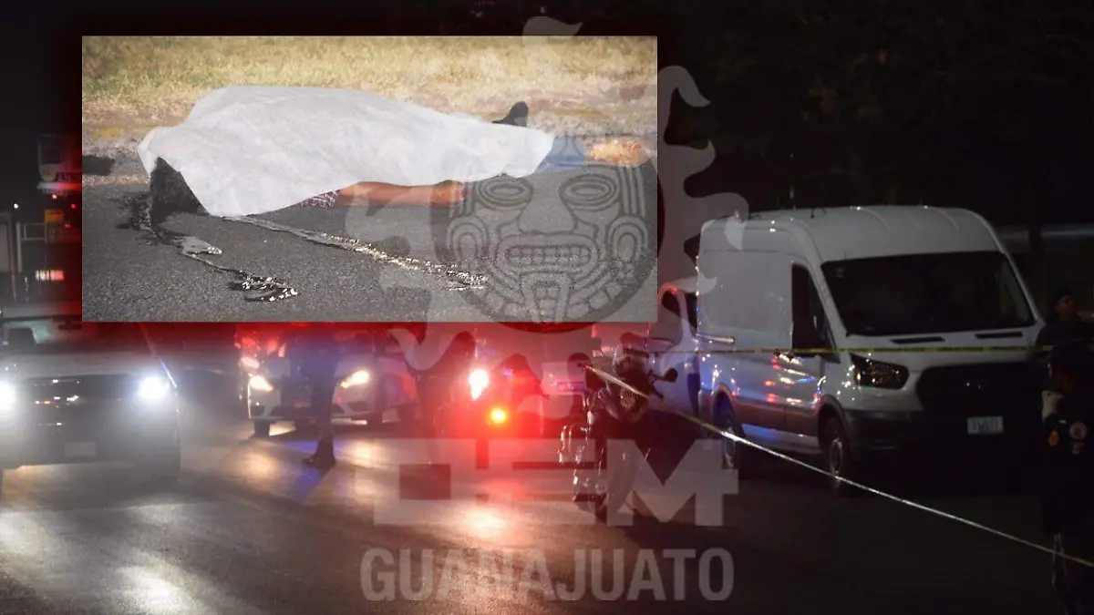 WhatsApp Image 2020-10-28 at 8.55.54 PM