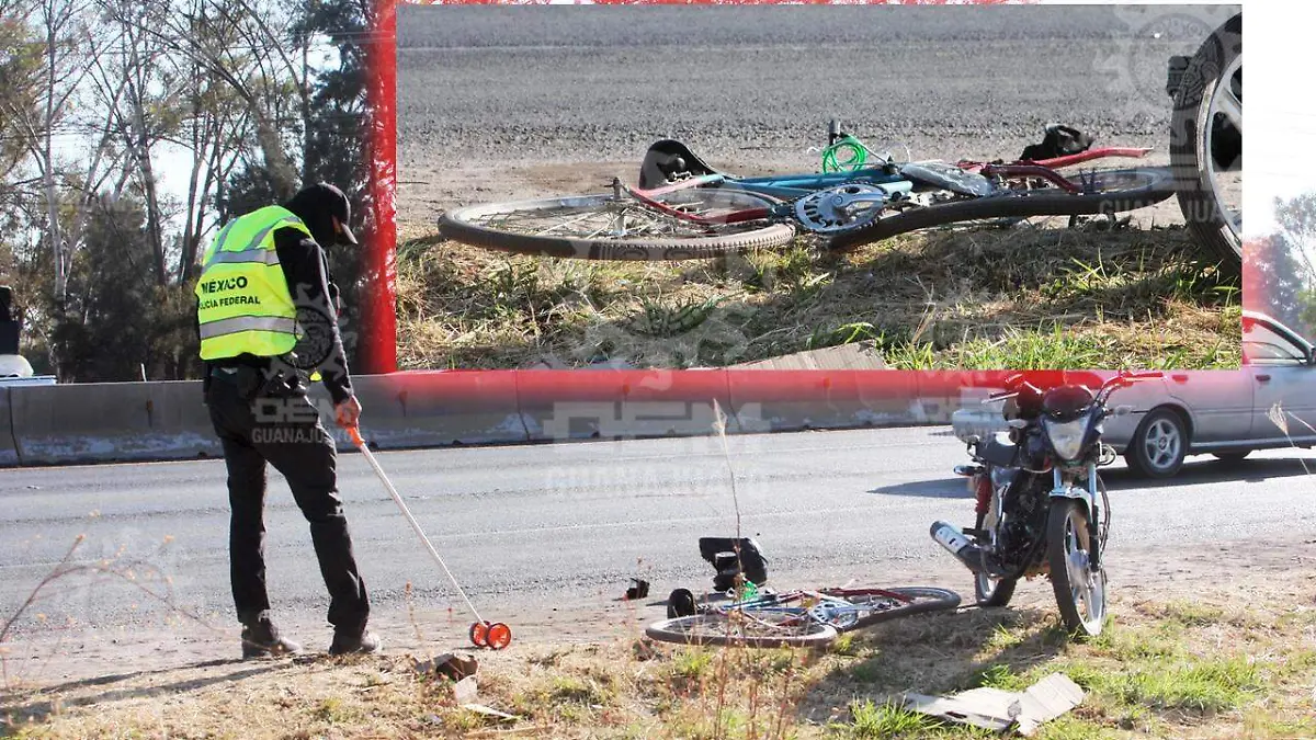 WhatsApp Image 2021-03-11 at 9.09.05 AM