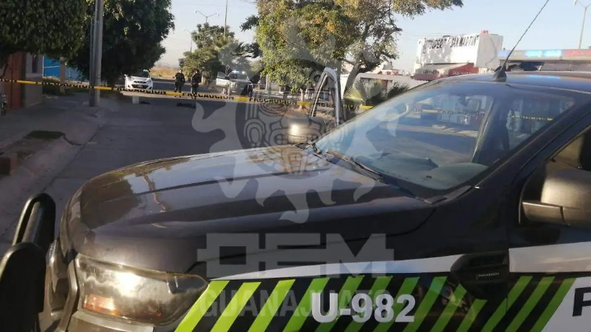 WhatsApp Image 2020-11-09 at 8.19.50 AM