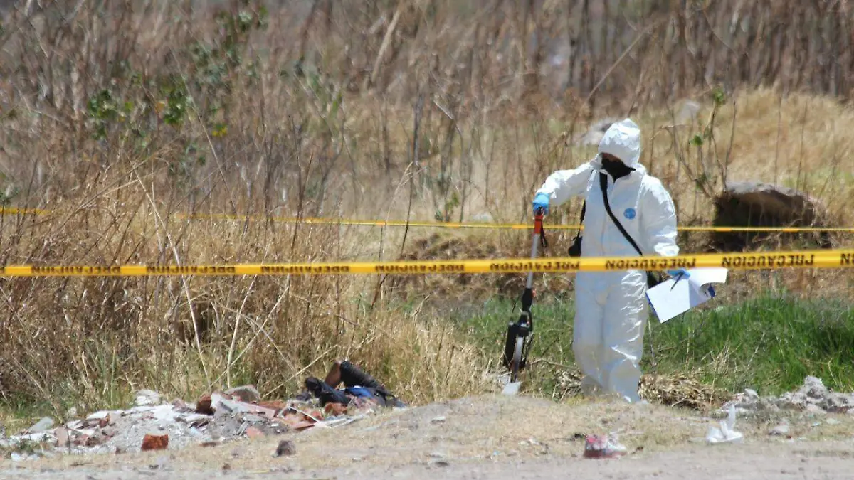 aa159476-3776-4abe-9026-2d27d3651912