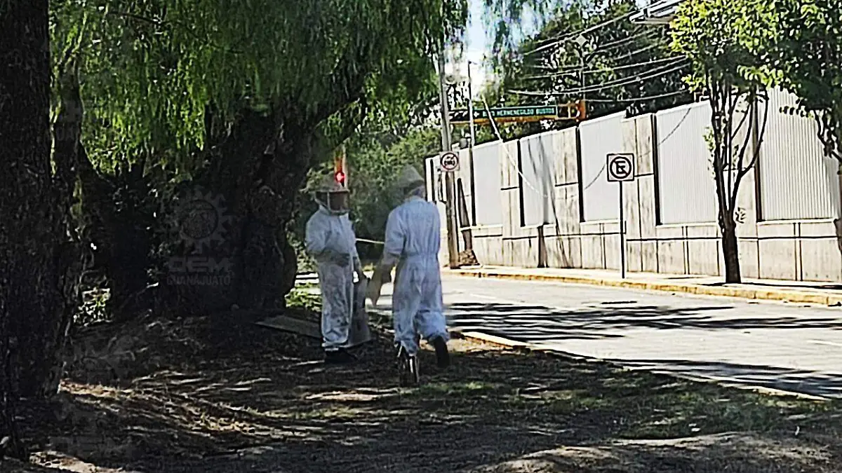 WhatsApp Image 2021-06-15 at 10.45.55 PM