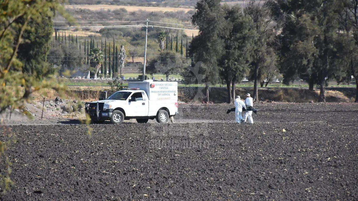 WhatsApp Image 2021-02-04 at 4.41.28 PM (1)