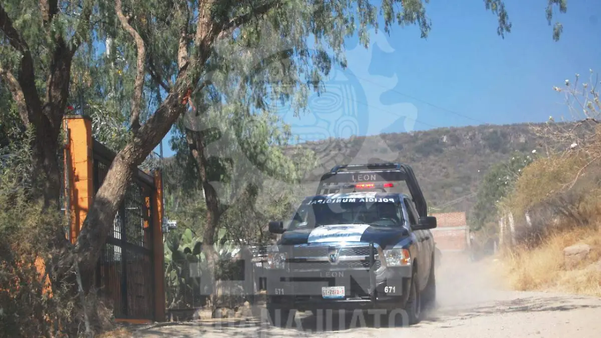 POLICIA IBARRILLA (2)