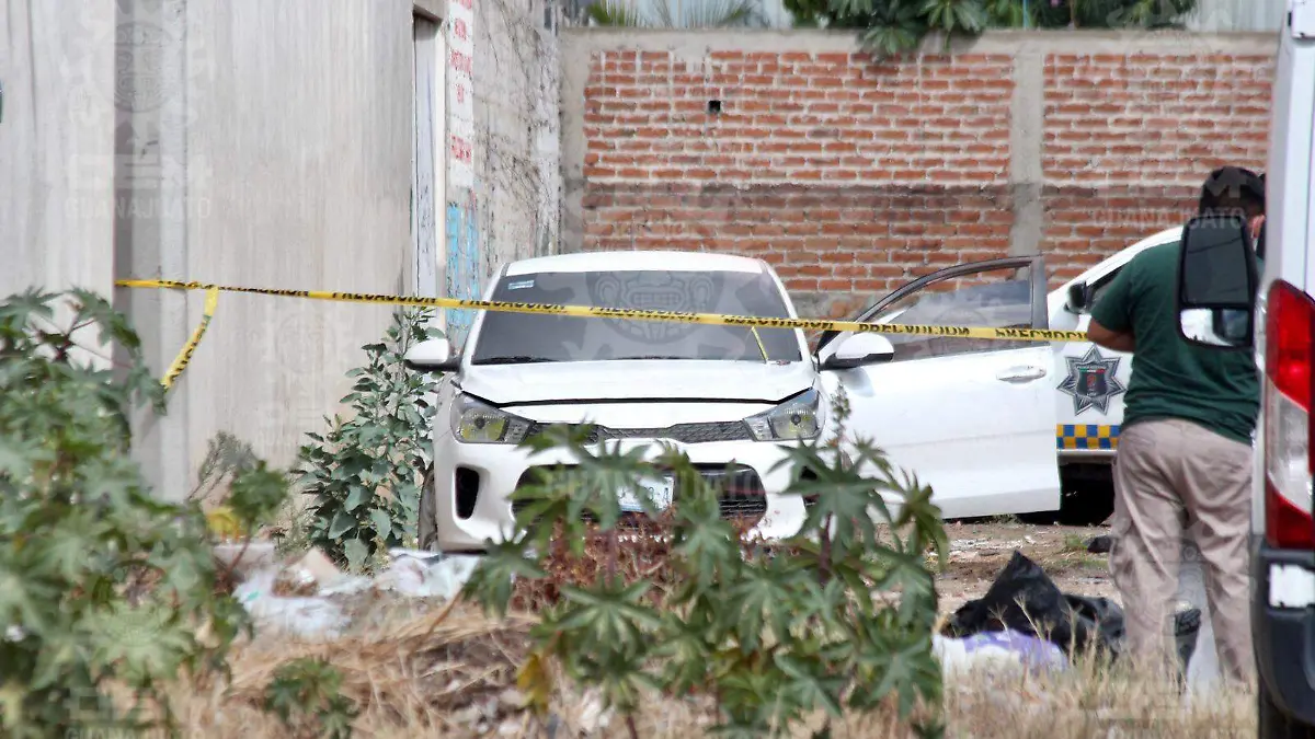 WhatsApp Image 2021-06-03 at 10.57.46 AM