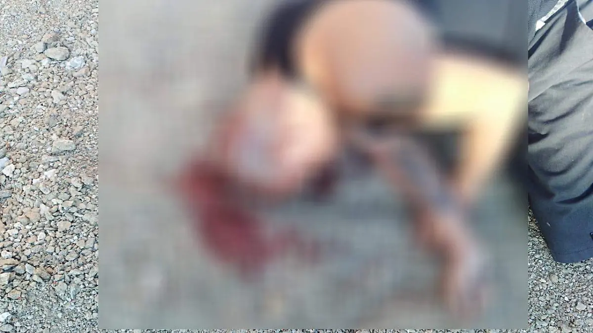 90734ef8-ca01-4038-9192-32f78a92c6b0