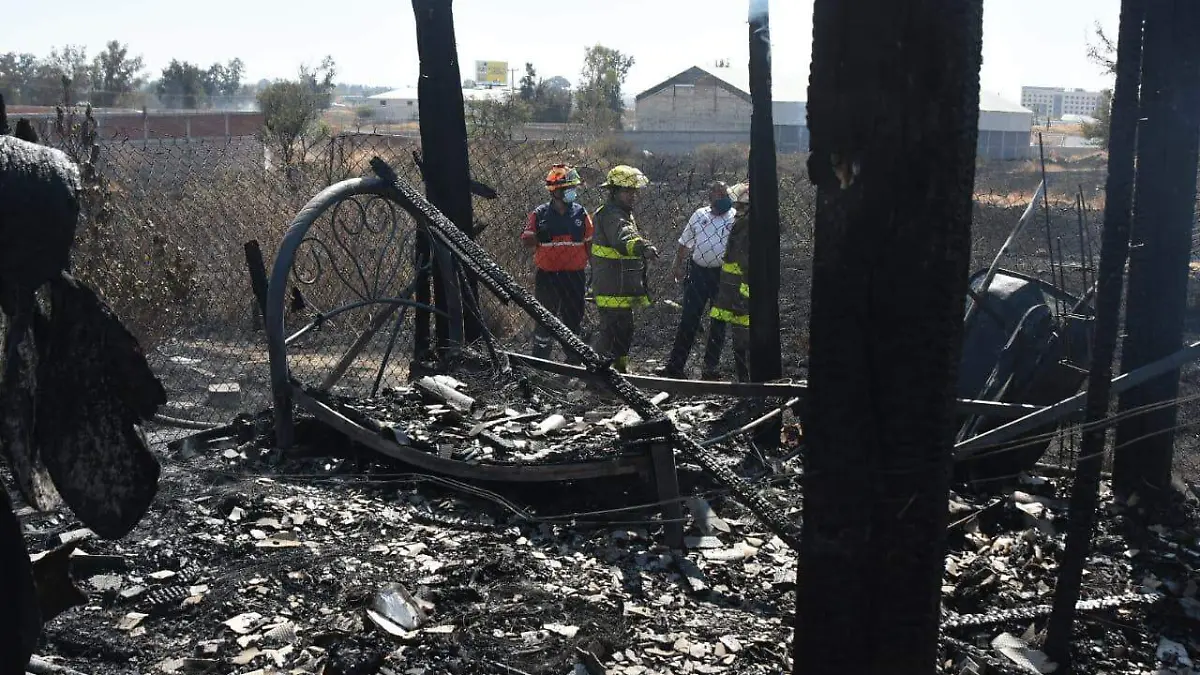 WhatsApp Image 2021-01-27 at 1.55.26 PM