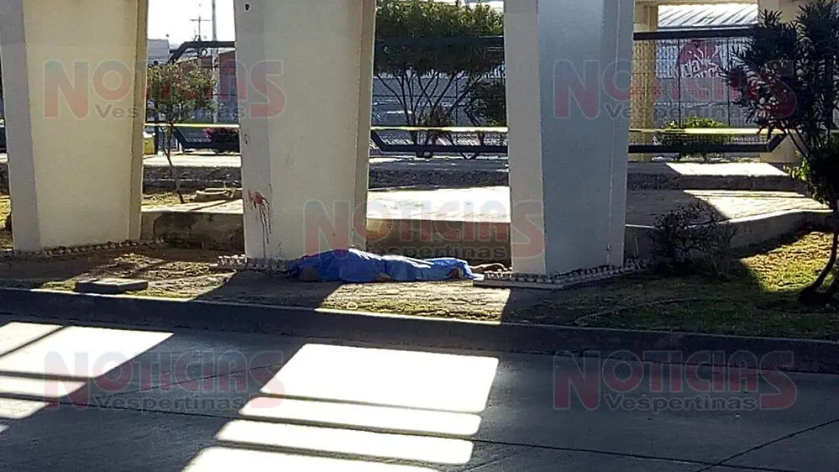 WhatsApp Image 2019-01-27 at 6.42.45 PM