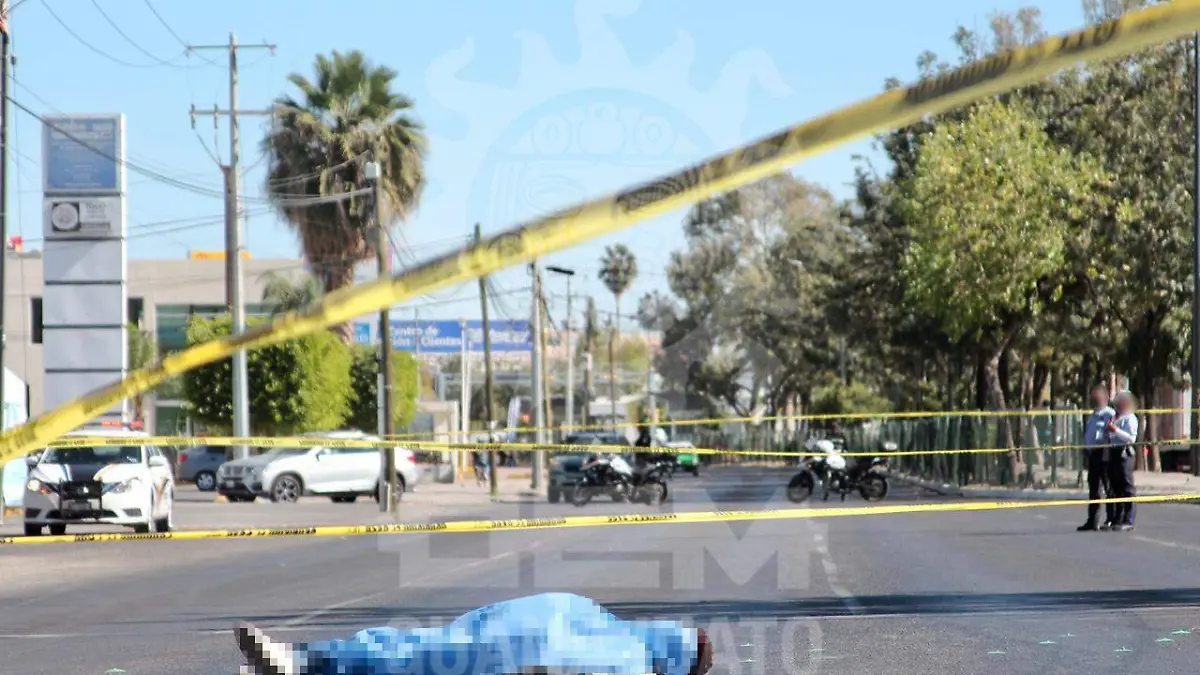 WhatsApp Image 2020-11-18 at 2.33.33 PM