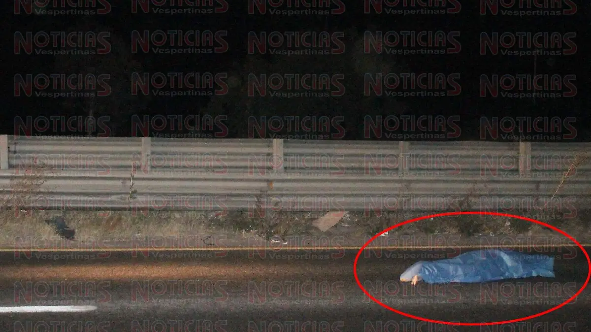 MAXIPISTA ATROPELLADO CARRETERA