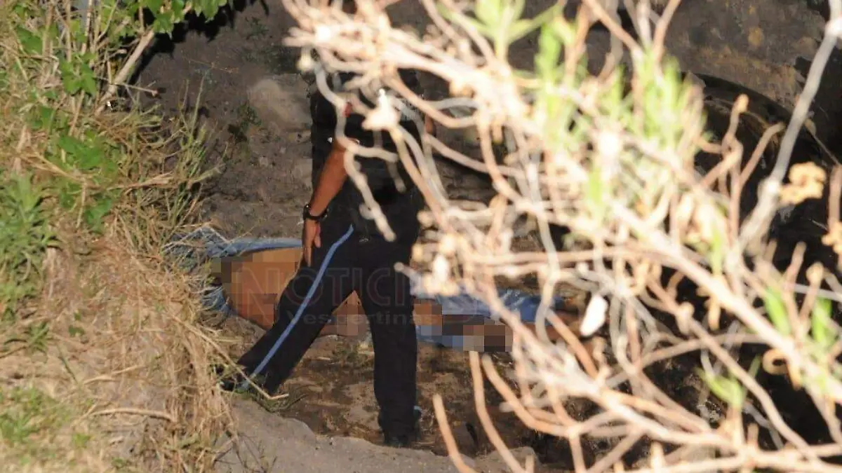 WhatsApp Image 2019-06-14 at 9.14.10 PM