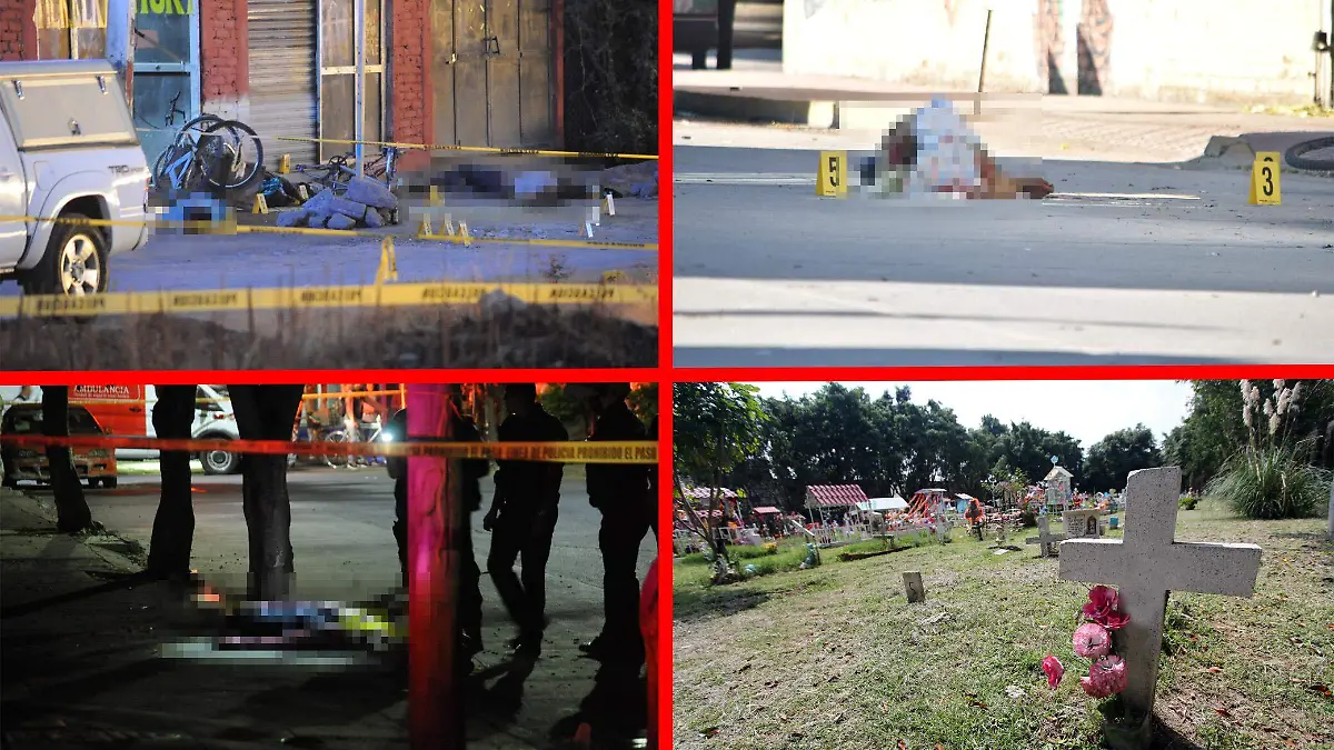 12. BRISAS DEL PEDREGAL