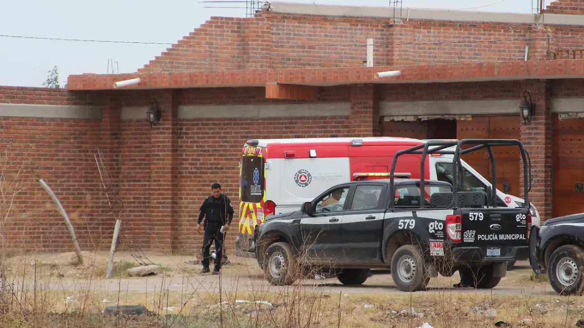 DETENIDOS (2)