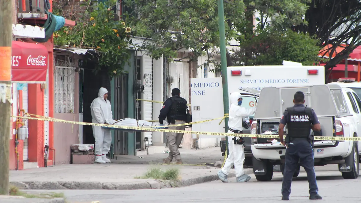 Copia de GRANJENO (5)