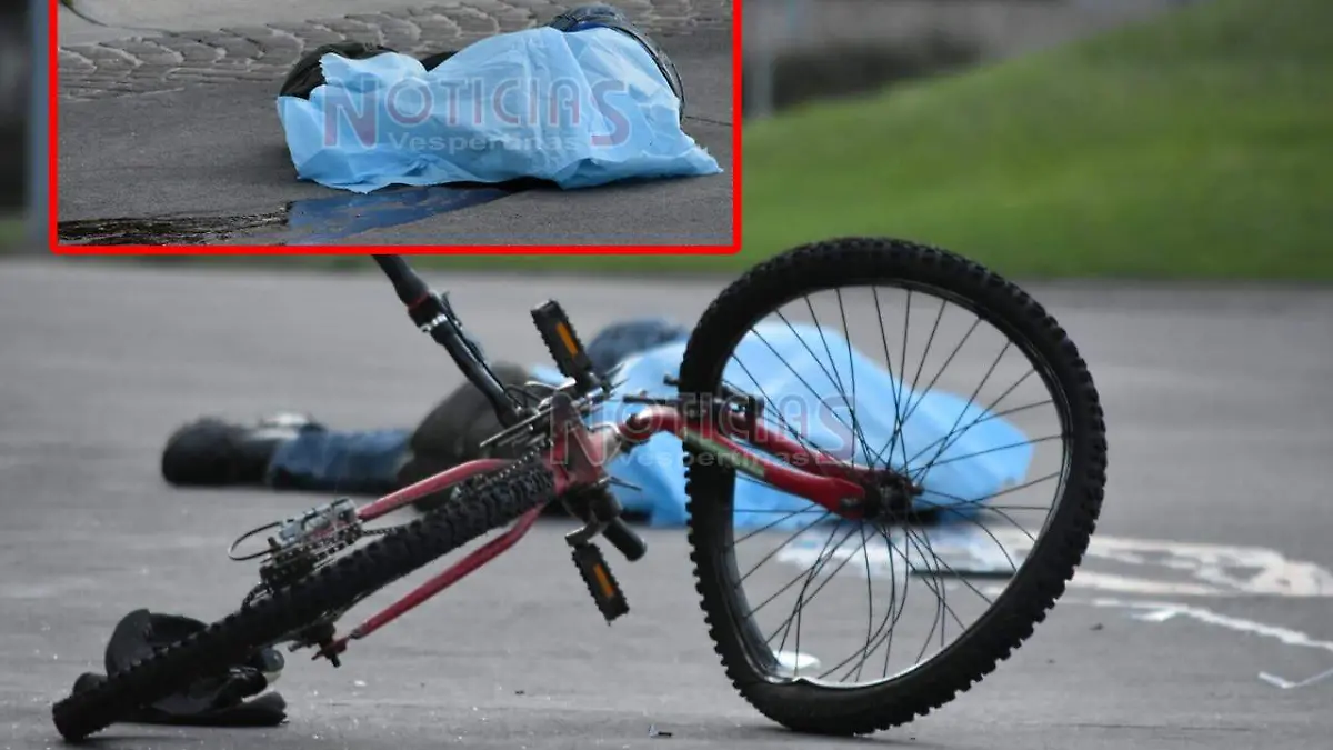 WhatsApp Image 2019-07-17 at 8.58.23 PM