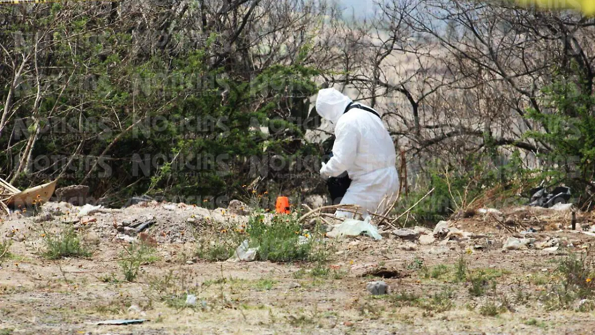 WhatsApp Image 2020-04-01 at 12.34.39 PM