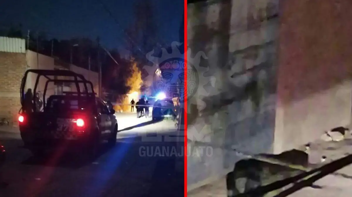 WhatsApp Image 2021-01-29 at 9.02.58 AM