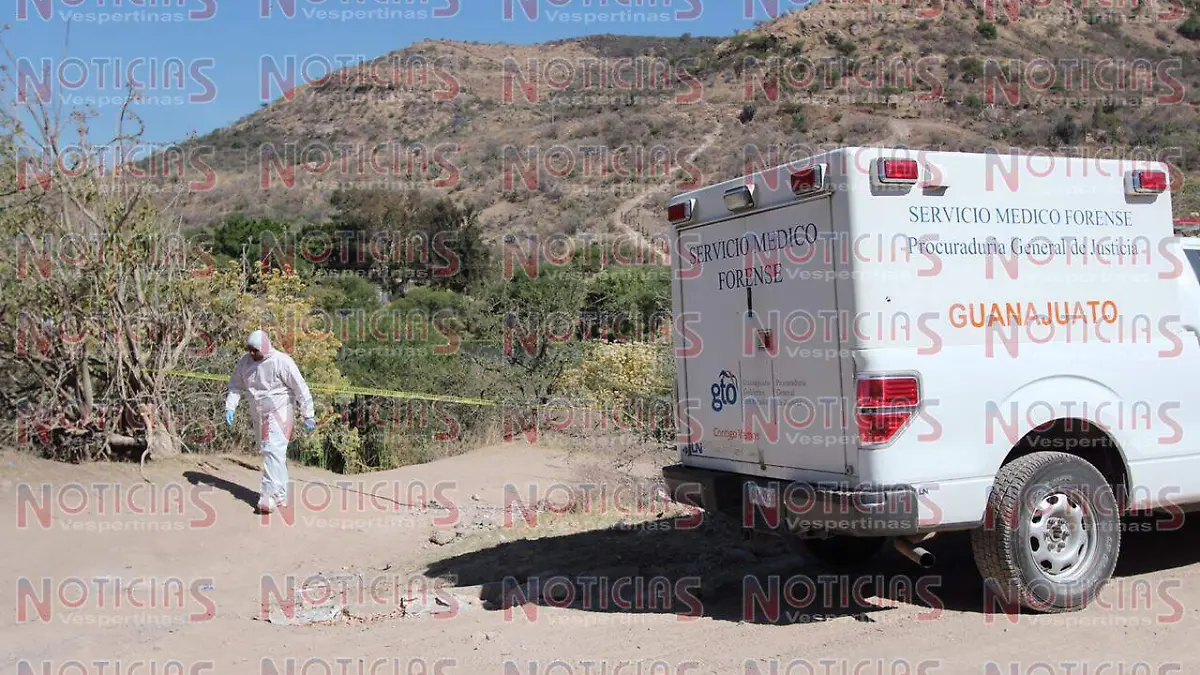 WhatsApp Image 2019-03-26 at 10.41.37 AM