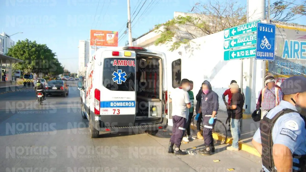 ATROPELLADO BUGAMBILIAS (2)