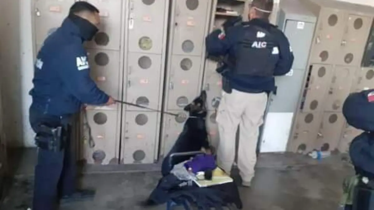 WhatsApp Image 2021-01-18 at 11.26.28 AM (1)