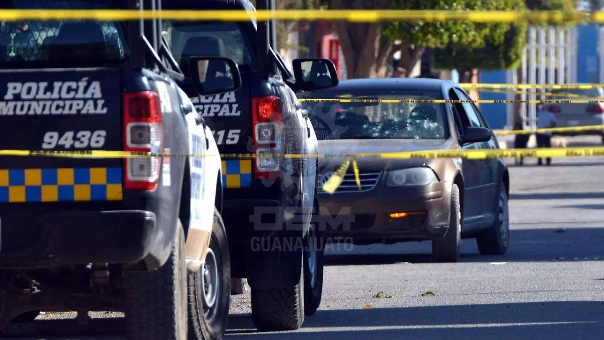 WhatsApp Image 2021-02-04 at 5.20.55 PM