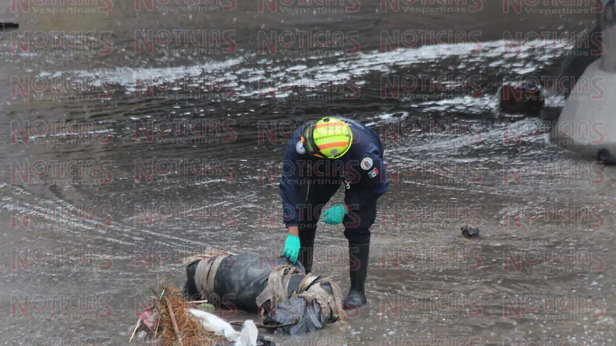 WhatsApp Image 2020-02-04 at 10.23.57 AM