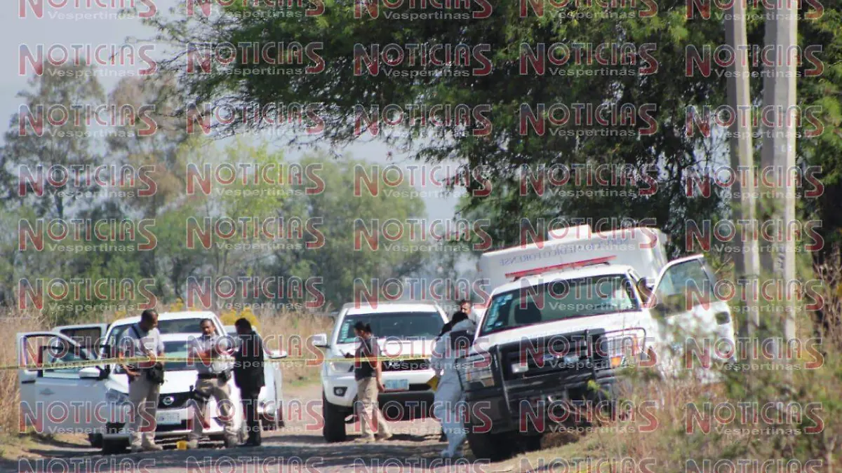 WhatsApp Image 2019-04-09 at 3.09.47 PM