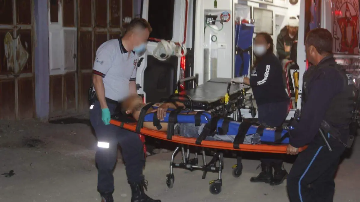 10.FRUTALES DE LA HACIENDA