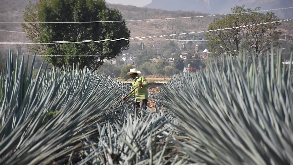 Víctor-Villalobos-visitó-2-okokok