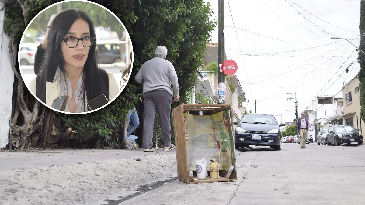 F CARMONA COLONIA GRANADA (3)