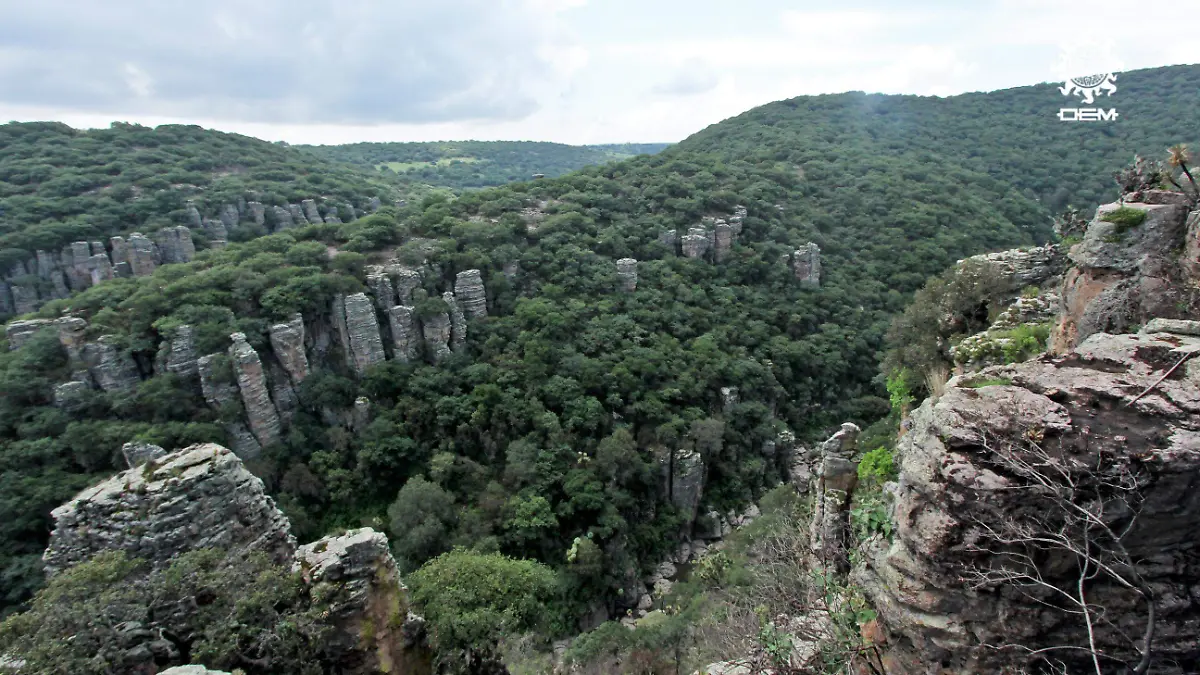FCO MEZA - PANALES (14)