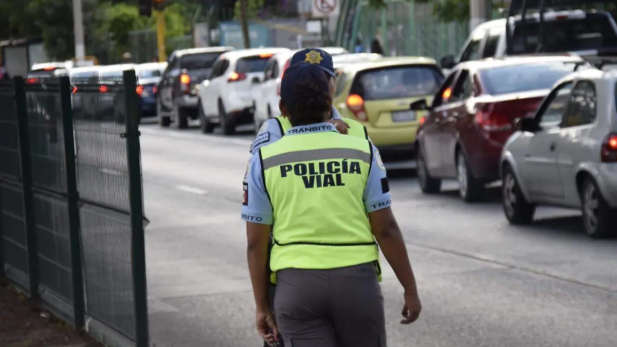 WhatsApp Image 2022-06-28 at 7.55.44 PM