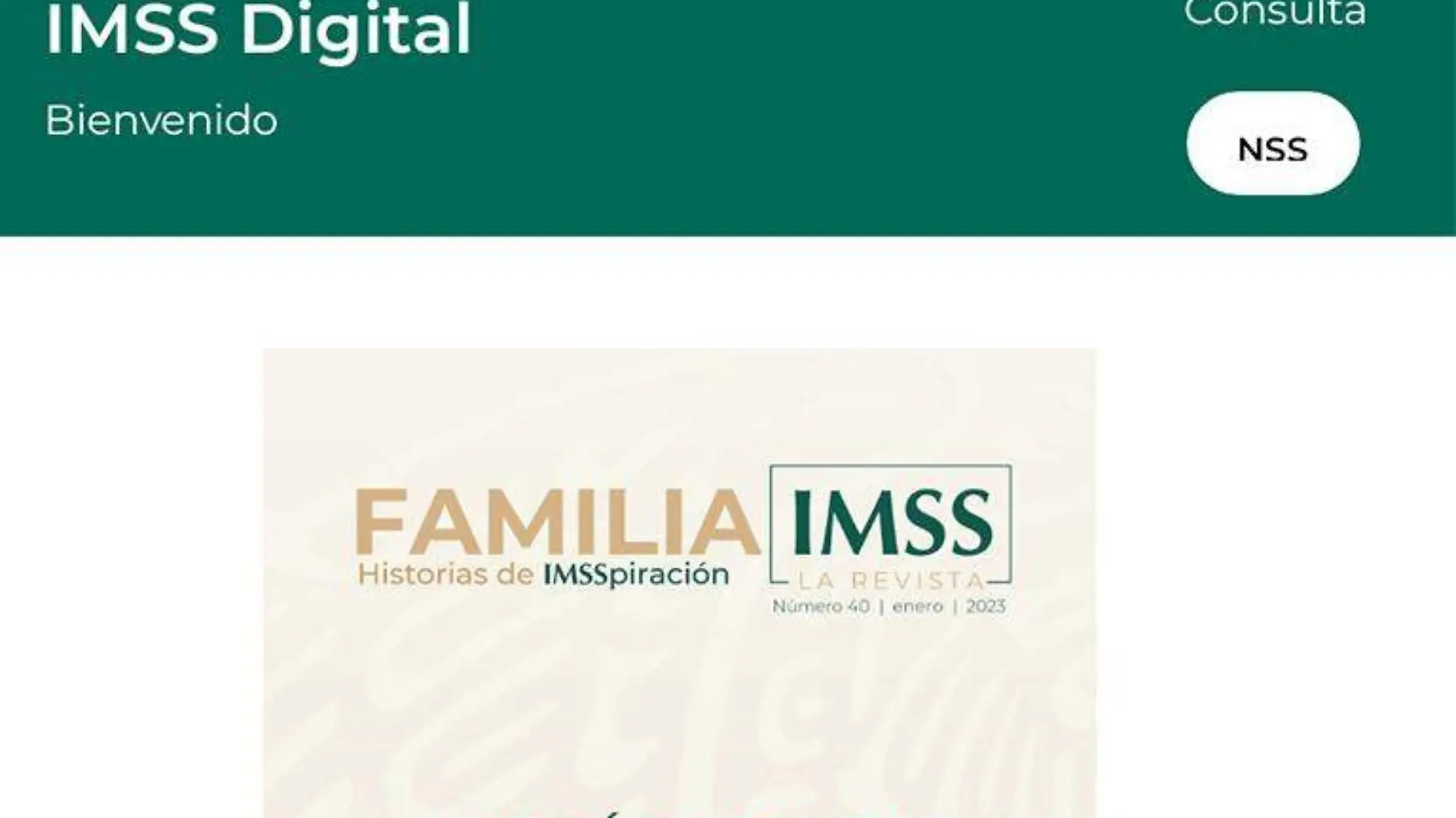 imss