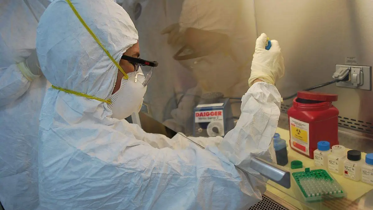 WhatsApp Image 2021-07-22 at 4.57.18 PM