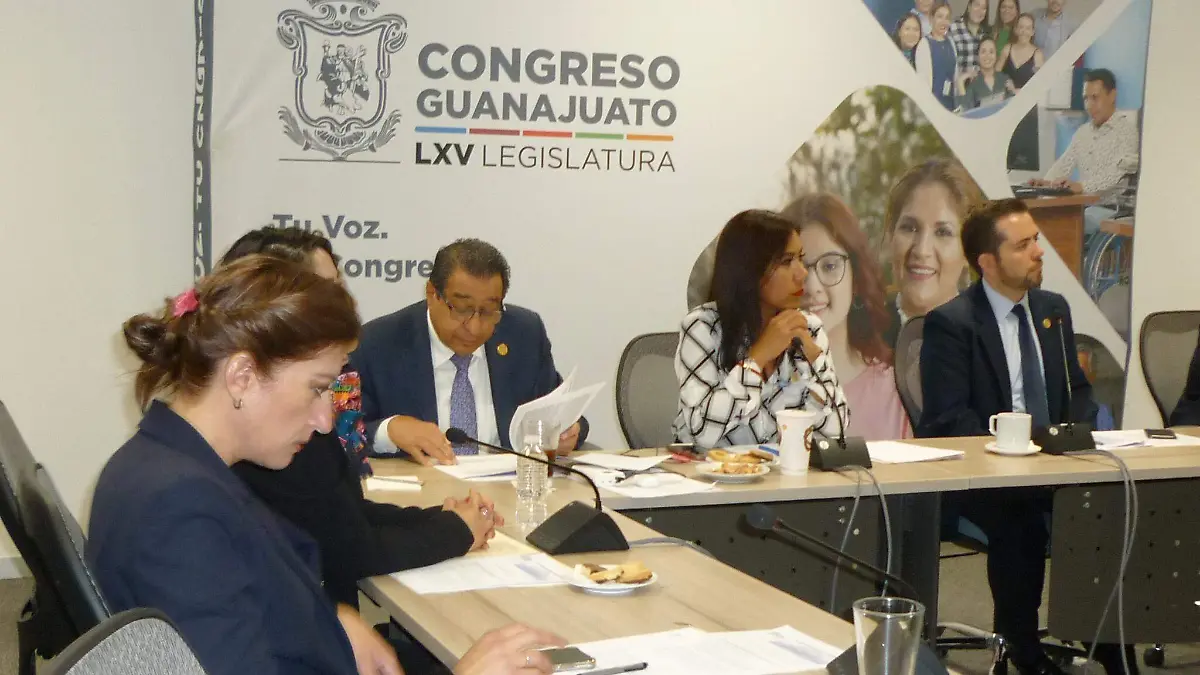 Sesionaron-las-Comisiones 