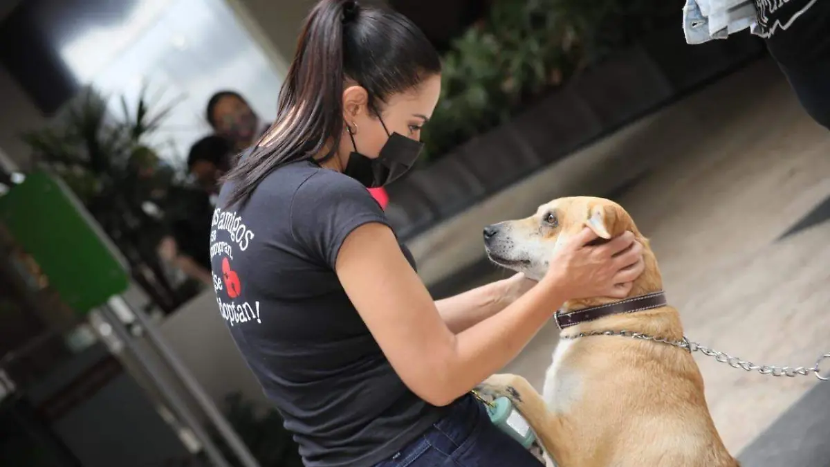 sale Gutiérrez cortesia