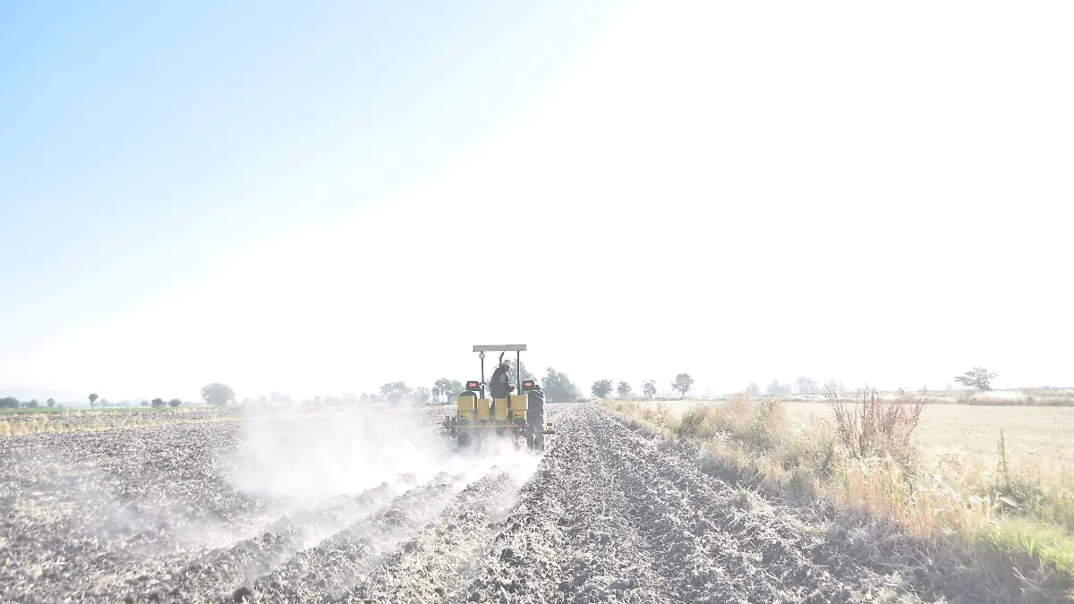 F CARMONA ROMITA (2)