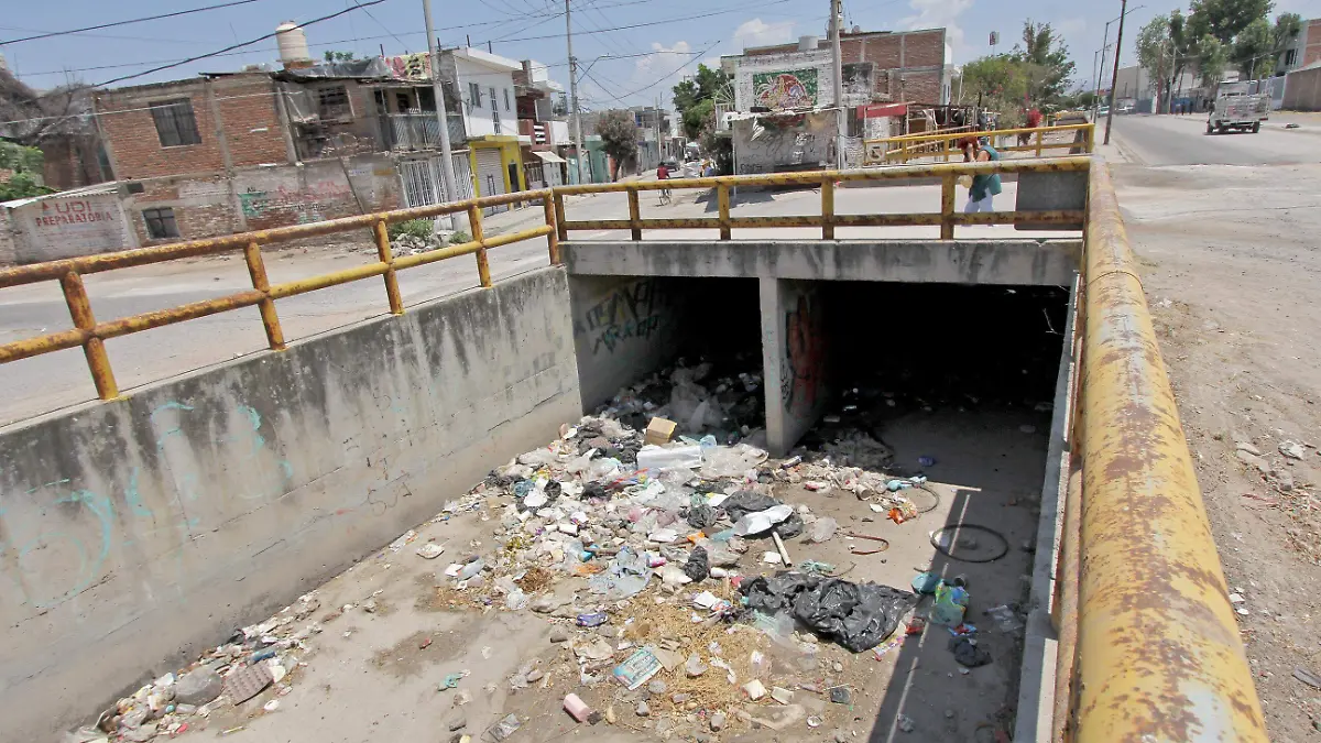 FCO MEZA - RÍO (4)