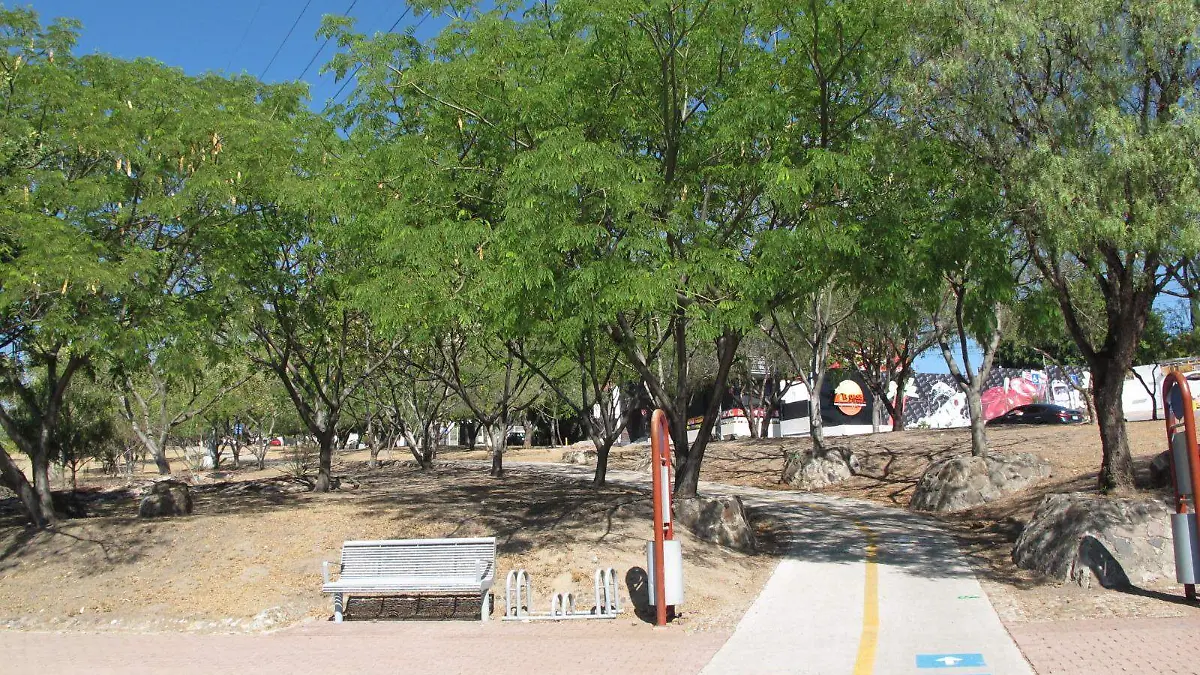 GGARCIA IBU (6)