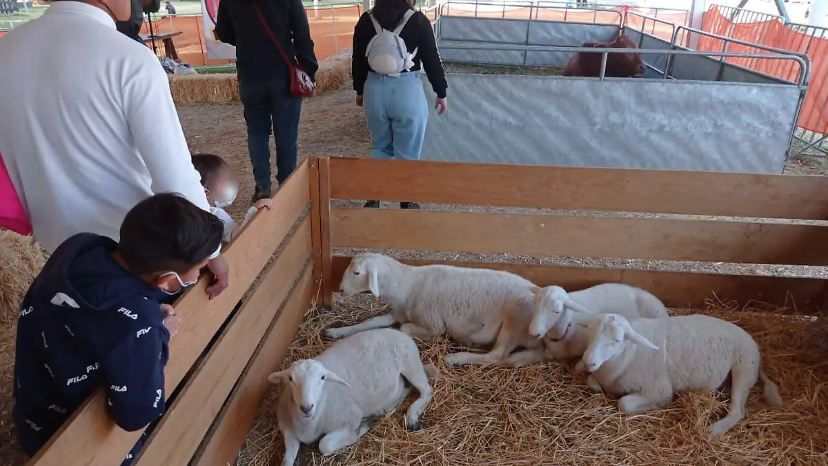 E.CAMACHO - GRANJA 7