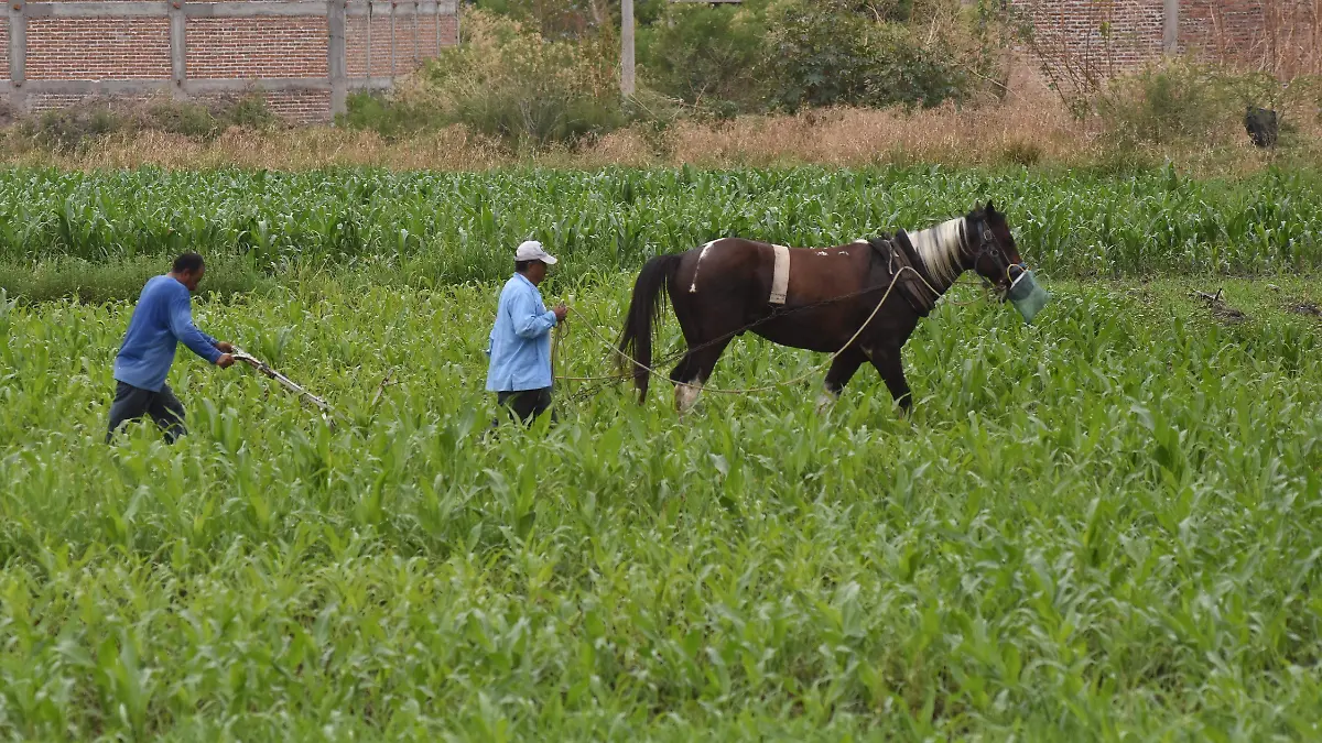 Fueron-invertidos-siete-millones