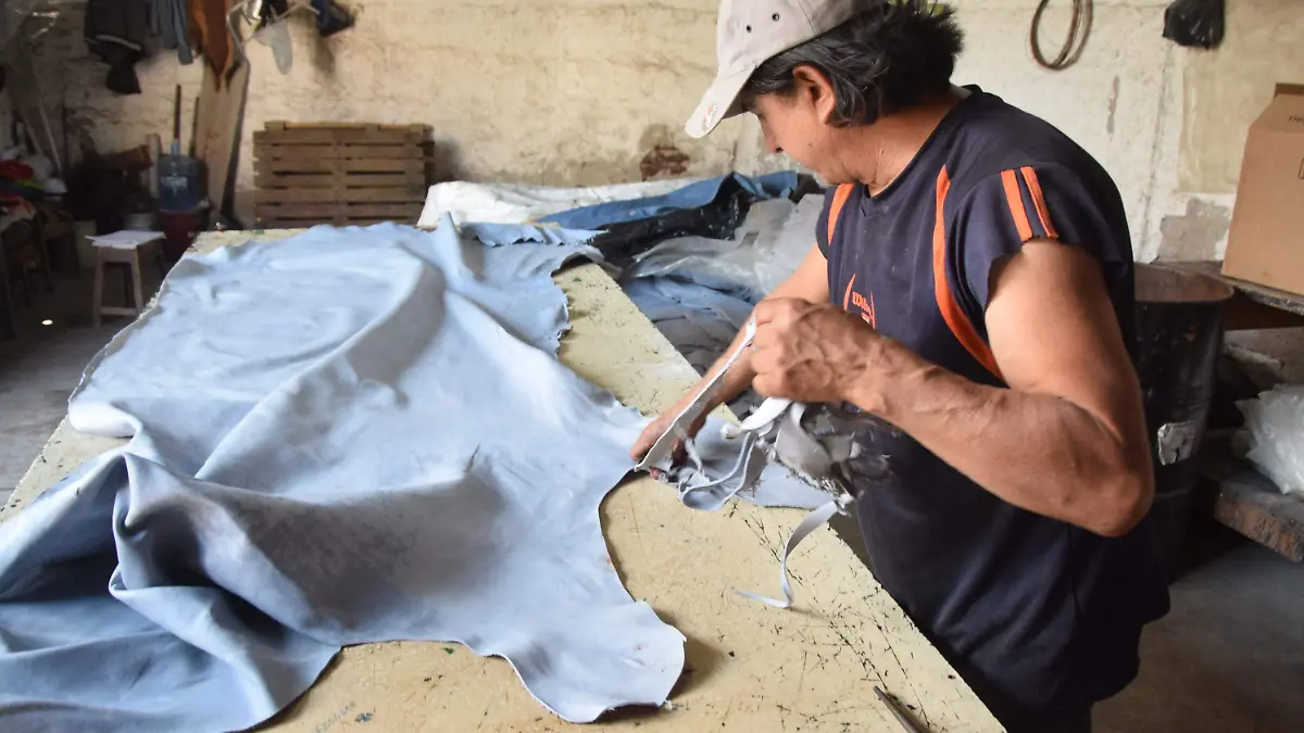 f carmona froylan (3)