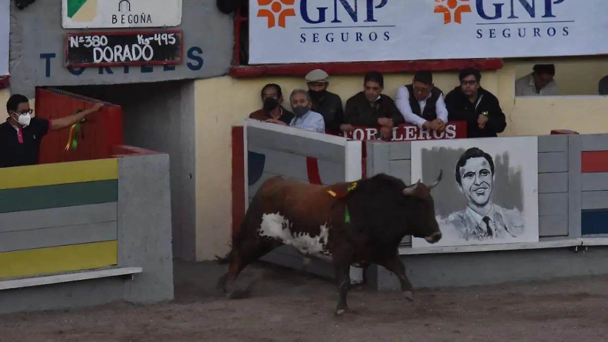 La-fiesta-brava-en-Guanajuato-okokok