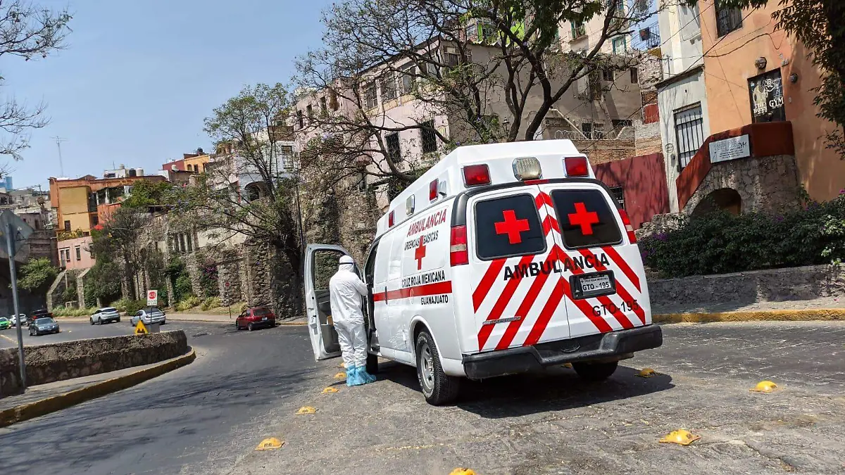 WhatsApp Image 2021-09-02 at 2.53.15 PM