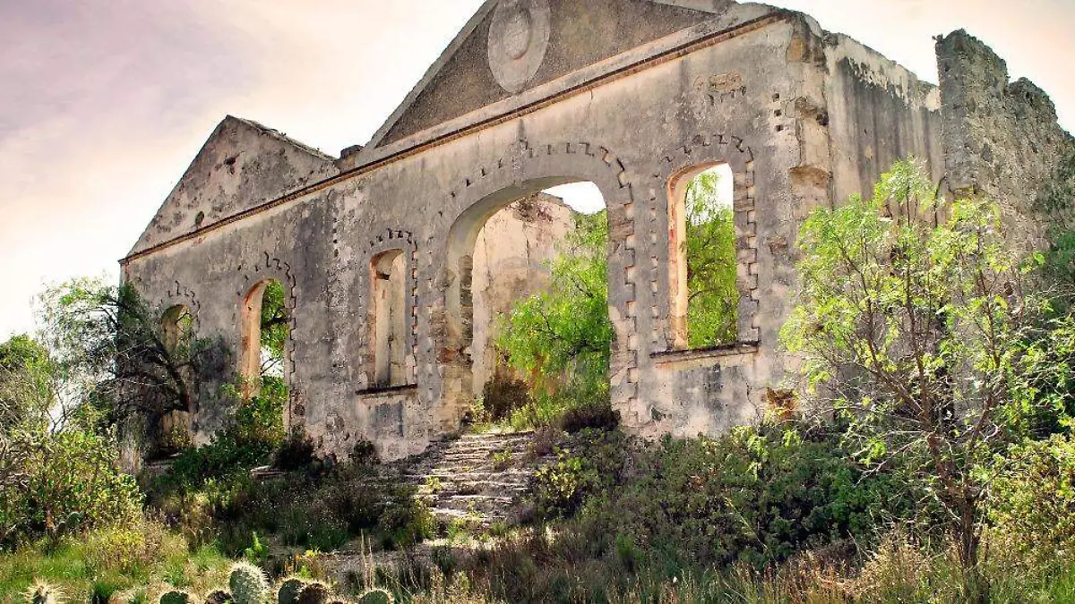 WhatsApp Image 2021-03-08 at 6.58.03 PM