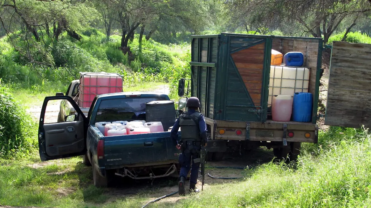Irapuato-el-municipio 