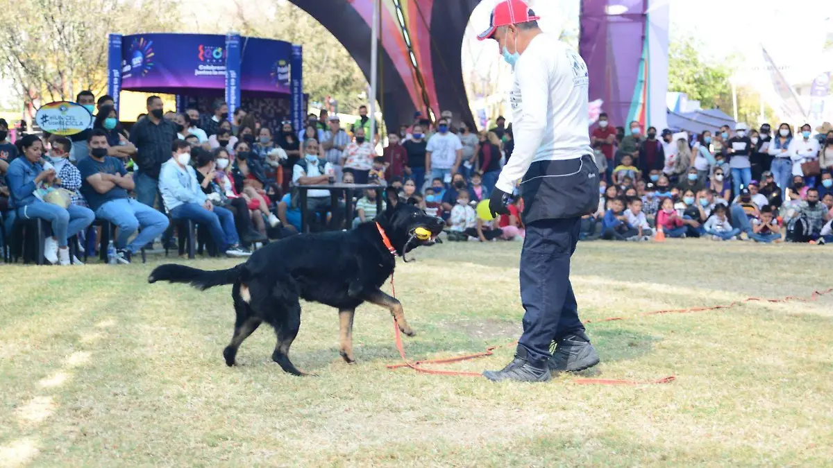 E.CAMACHO - EXHIBICIÓN DE PERROS ENTRENADOS 5